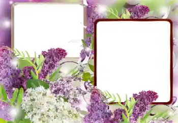 Photo effect from category Women's photo frames № 121086