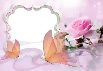 Photo effect from category Women's photo frames № 121129