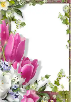 Photo effect from category Women's photo frames № 122154