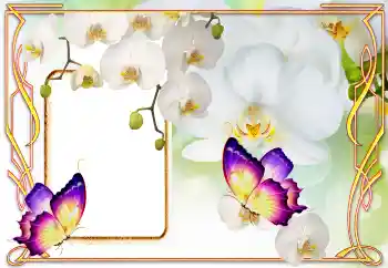 Photo effect from category Women's photo frames № 123218