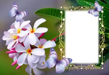 Photo effect from category Women's photo frames № 123254