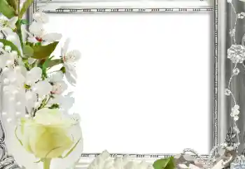 Photo effect from category Women's photo frames № 124413 Photo effect from category Women's photo frames № 124413