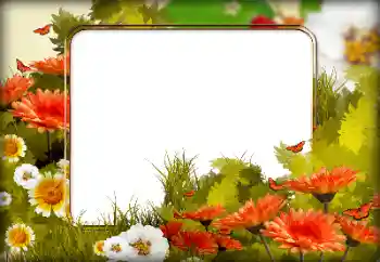 Photo effect from category Women's photo frames № 125650