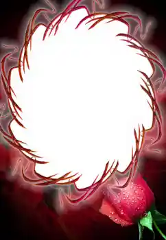 Photo effect from category Women's photo frames № 125687