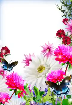 Photo effect from category Women's photo frames № 125845