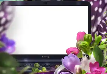 Photo effect from category Women's photo frames № 125847