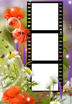 Photo effect from category Women's photo frames № 125912 Photo effect from category Women's photo frames № 125912