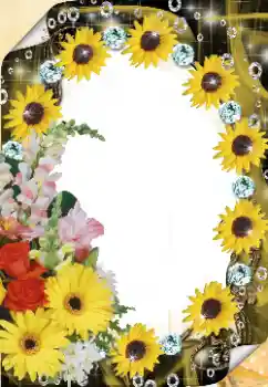 Photo effect from category Women's photo frames № 125921 Photo effect from category Women's photo frames № 125921