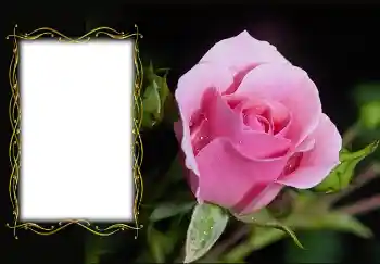 Photo effect from category Women's photo frames № 126936 Photo effect from category Women's photo frames № 126936