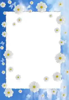 Photo effect from category Women's photo frames № 126941 Photo effect from category Women's photo frames № 126941