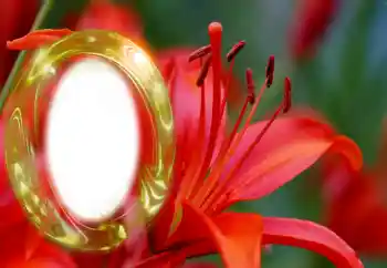 Photo effect from category Women's photo frames № 126945 Photo effect from category Women's photo frames № 126945