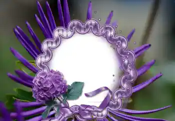 Photo effect from category Women's photo frames № 126947 Photo effect from category Women's photo frames № 126947