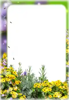 Photo effect from category Women's photo frames № 127113 Photo effect from category Women's photo frames № 127113