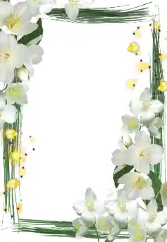 Photo effect from category Women's photo frames № 127290