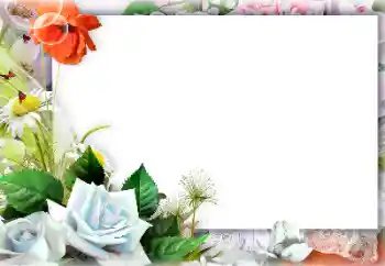 Photo effect from category Women's photo frames № 127301