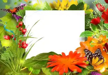 Photo effect from category Women's photo frames № 127302