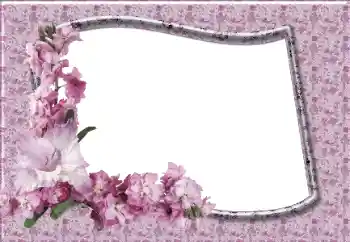 Photo effect from category Women's photo frames № 12831 Photo effect from category Women's photo frames № 12831