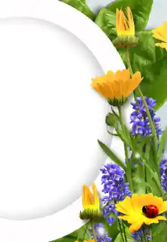 Photo effect from category Women's photo frames № 128372