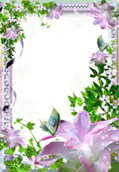 Photo effect from category Women's photo frames № 12842