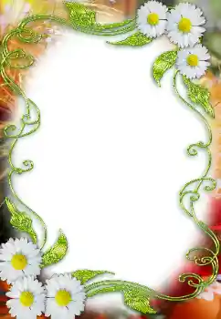 Photo effect from category Women's photo frames № 12859 Photo effect from category Women's photo frames № 12859