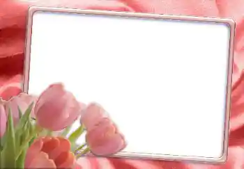 Photo effect from category Women's photo frames № 12865 Photo effect from category Women's photo frames № 12865
