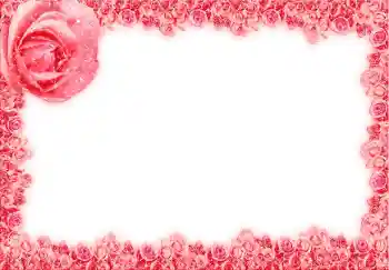 Photo effect from category Women's photo frames № 12873 Photo effect from category Women's photo frames № 12873