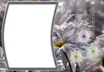 Photo effect from category Women's photo frames № 12890 Photo effect from category Women's photo frames № 12890