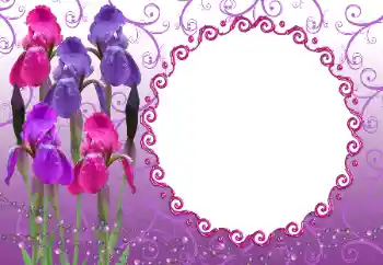 Photo effect from category Women's photo frames № 12894 Photo effect from category Women's photo frames № 12894