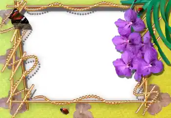 Photo effect from category Women's photo frames № 12895 Photo effect from category Women's photo frames № 12895