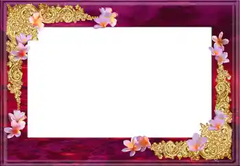 Photo effect from category Women's photo frames № 12896 Photo effect from category Women's photo frames № 12896