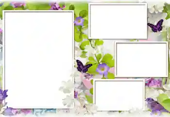 Photo effect from category Women's photo frames № 129851