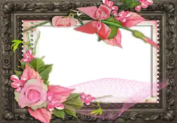 Photo effect from category Women's photo frames № 130791 Photo effect from category Women's photo frames № 130791