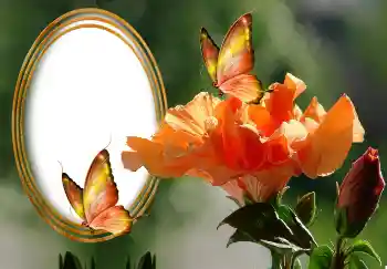Photo effect from category Women's photo frames № 131127 Photo effect from category Women's photo frames № 131127