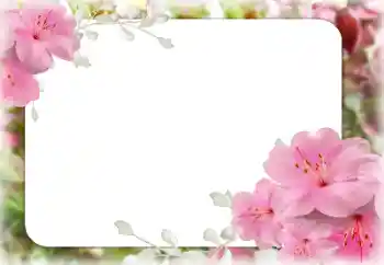 Photo effect from category Women's photo frames № 131609