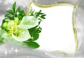 Photo effect from category Women's photo frames № 131819