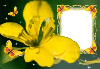 Photo effect from category Women's photo frames № 132883