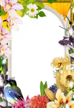 Photo effect from category Women's photo frames № 133075