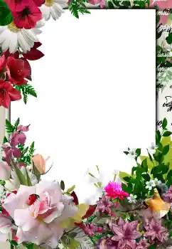 Photo effect from category Women's photo frames № 133076