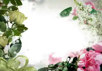 Photo effect from category Women's photo frames № 133078