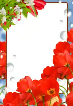 Photo effect from category Women's photo frames № 133081