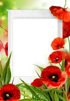 Photo effect from category Women's photo frames № 133252