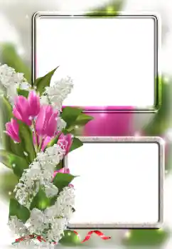 Photo effect from category Women's photo frames № 133294