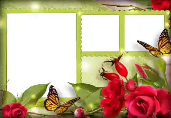 Photo effect from category Women's photo frames № 134497