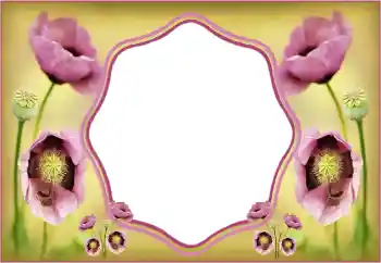 Photo effect from category Women's photo frames № 135508