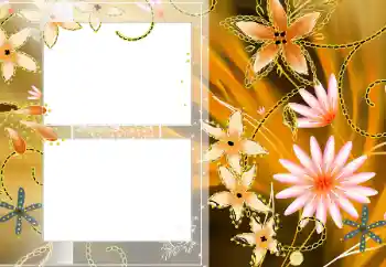 Photo effect from category Women's photo frames № 13909 Photo effect from category Women's photo frames № 13909
