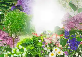 Photo effect from category Women's photo frames № 13913 Photo effect from category Women's photo frames № 13913