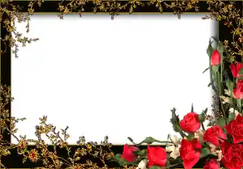 Photo effect from category Women's photo frames № 13953 Photo effect from category Women's photo frames № 13953
