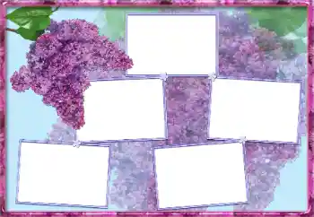 Photo effect from category Women's photo frames № 13954 Photo effect from category Women's photo frames № 13954