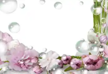 Photo effect from category Women's photo frames № 139757