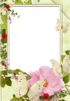 Photo effect from category Women's photo frames № 139758